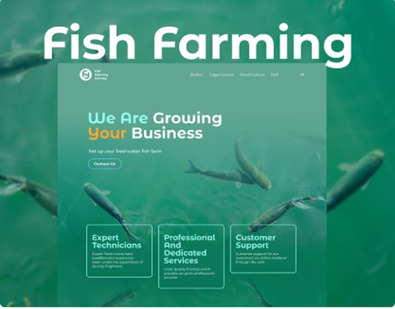 Концепт лендинга Fish Farming